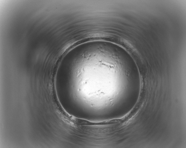 X0000065241025200602211207