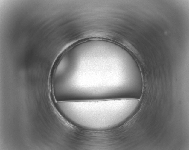 X0000065241028200602211207