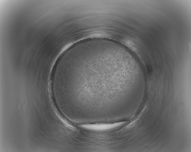 X0000065241029200602211207