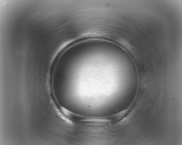 X0000065241030200602211207