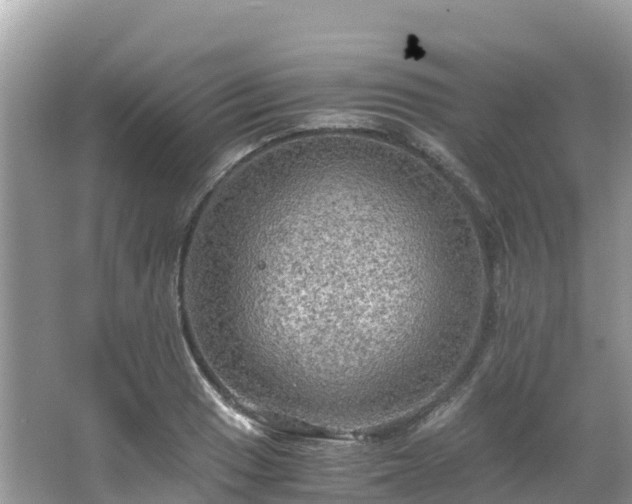 X0000065241033200602211207