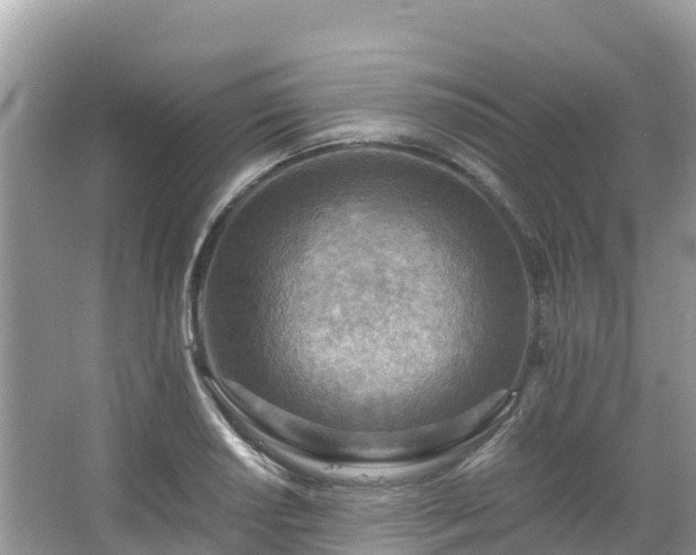 X0000065241034200602211207