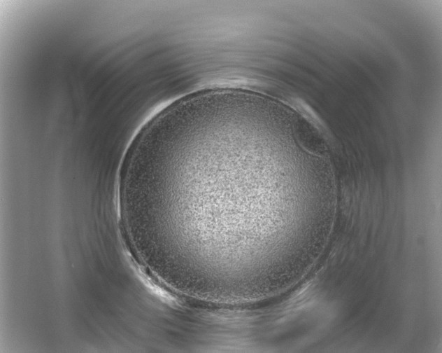 X0000065241036200602211207