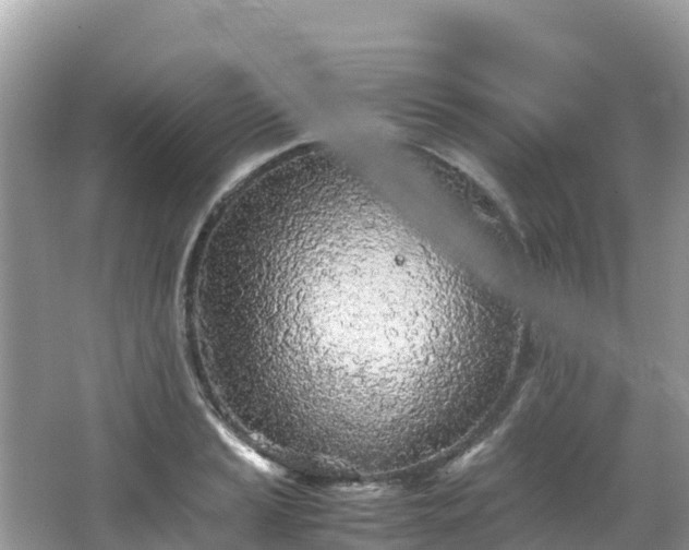 X0000065241037200602211207