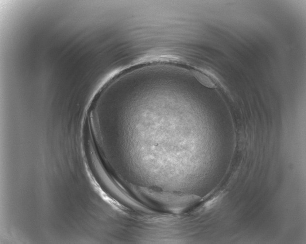 X0000065241038200602211207