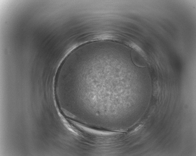 X0000065241039200602211207