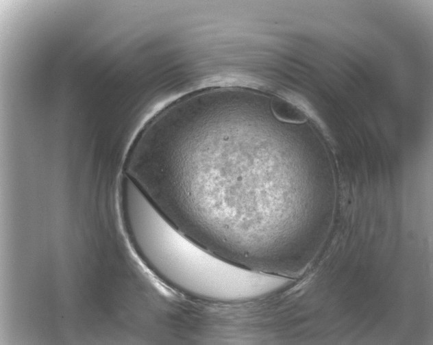 X0000065241040200602211207