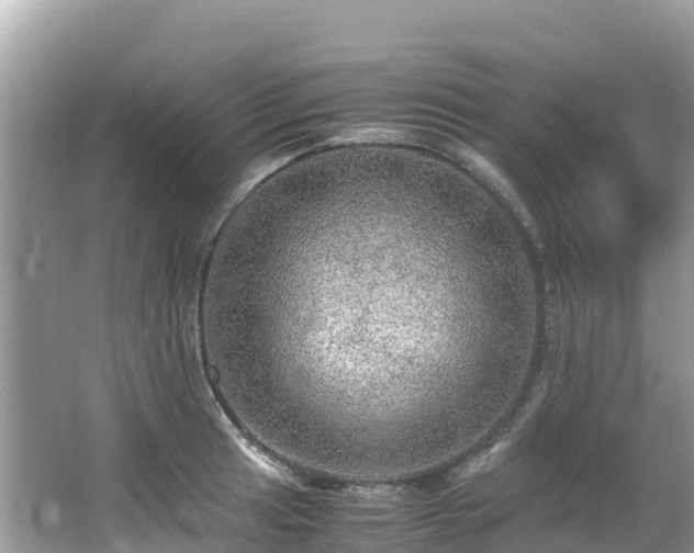 X0000065241041200602211207