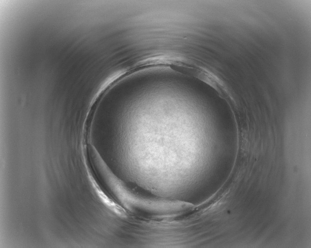 X0000065241042200602211207