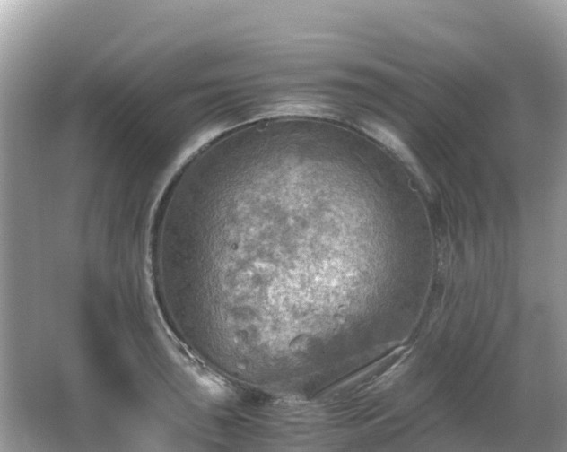 X0000065241043200602211207