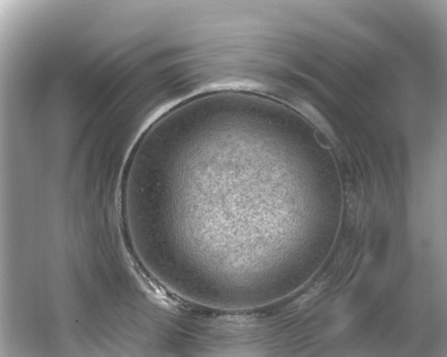 X0000065241044200602211207