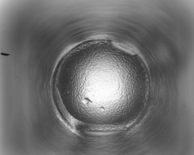 X0000065241045200602211207