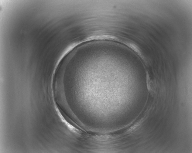 X0000065241046200602211207