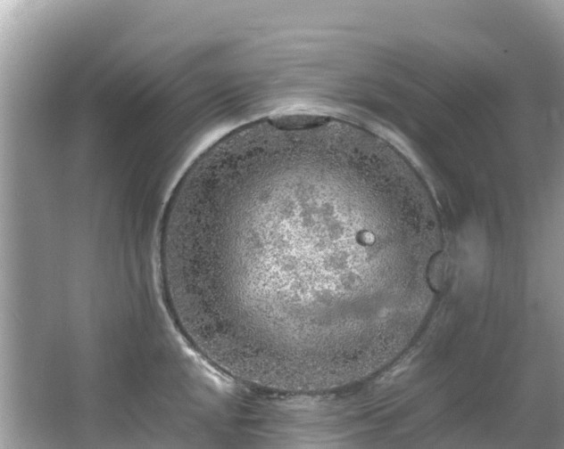 X0000065241048200602211207