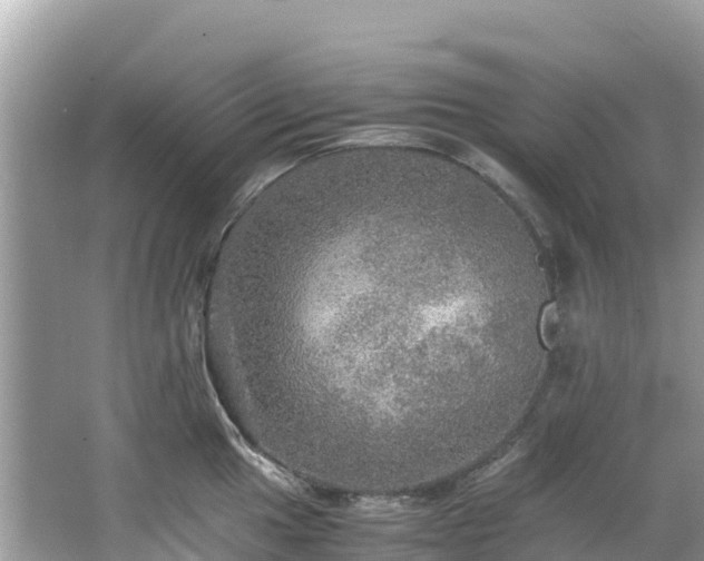 X0000065241049200602211207