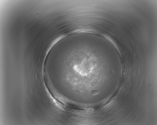 X0000065241050200602211207