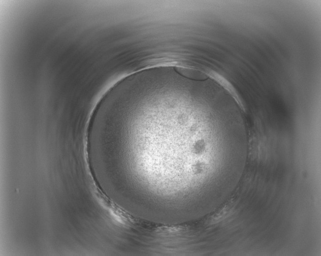 X0000065241051200602211207