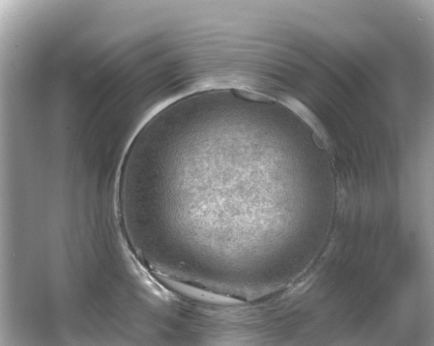 X0000065241052200602211207