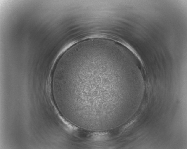 X0000065241053200602211207