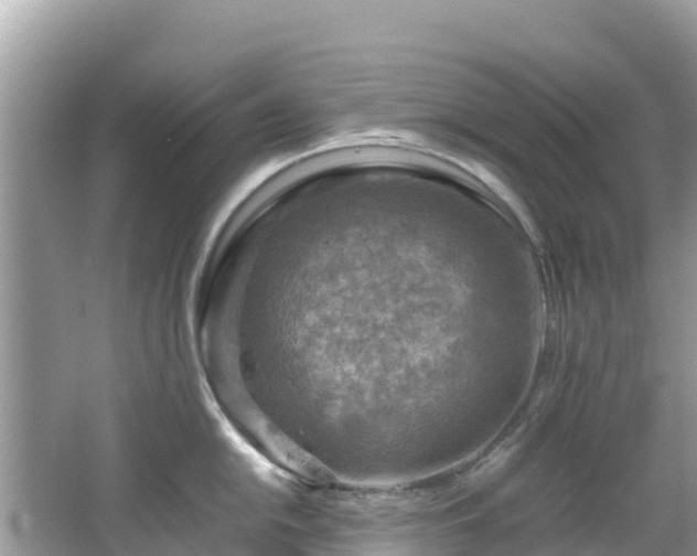 X0000065241054200602211207