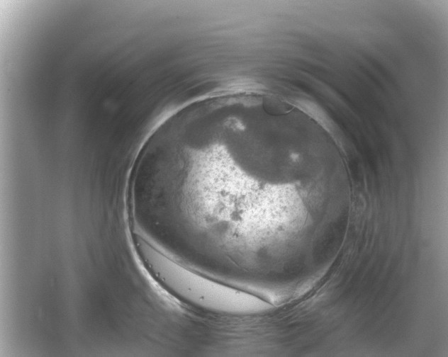 X0000065241055200602211207