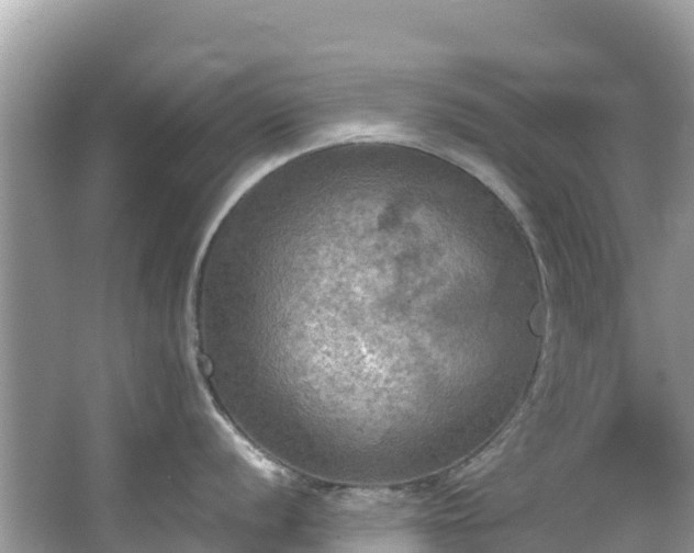 X0000065241056200602211207