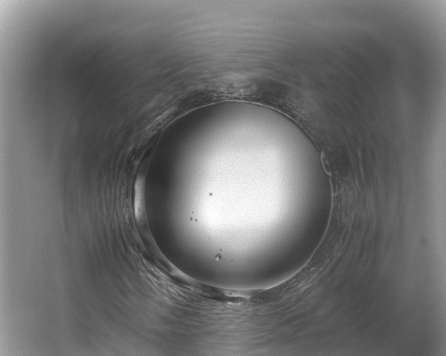 X0000065241058200602211207