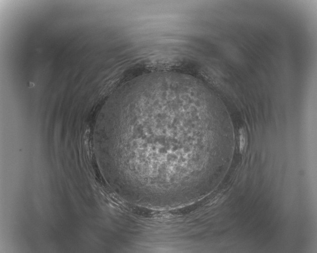 X0000065241059200602211207