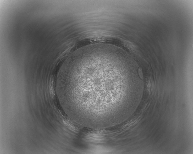 X0000065241060200602211206