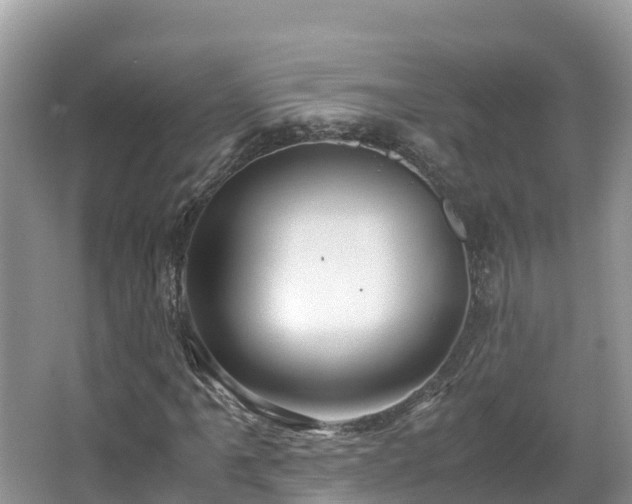 X0000065241061200602211206