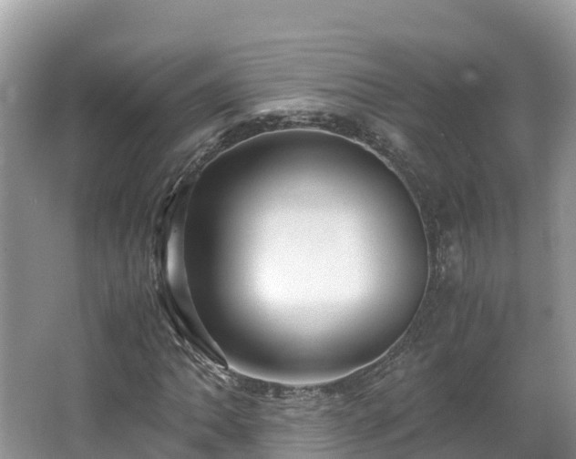 X0000065241062200602211206