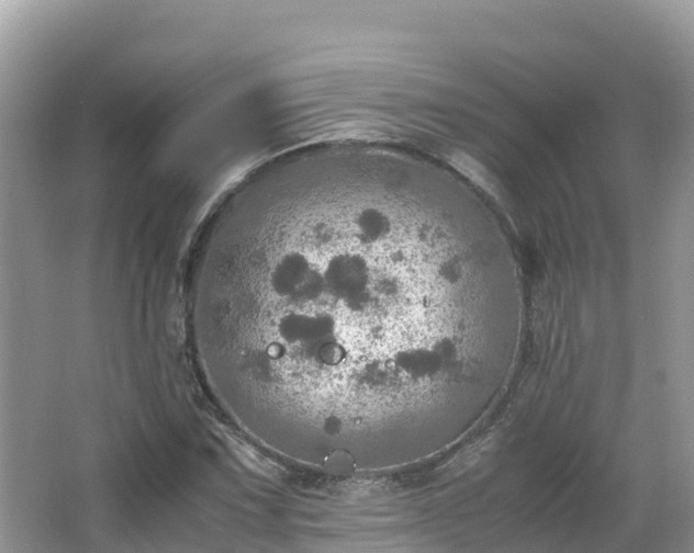 X0000065241067200602211206