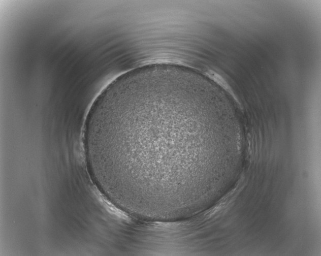 X0000065241068200602211206