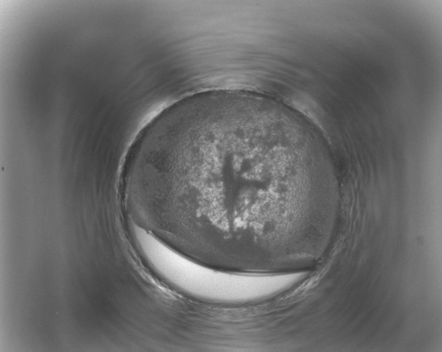 X0000065241071200602211206