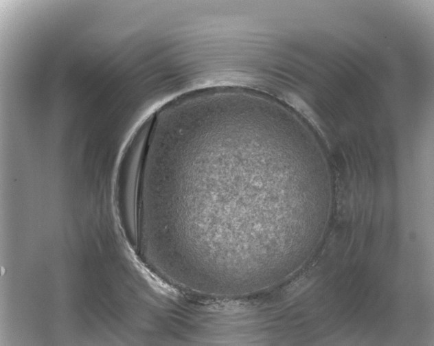 X0000065241072200602211206