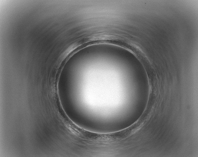 X0000065241073200602211206