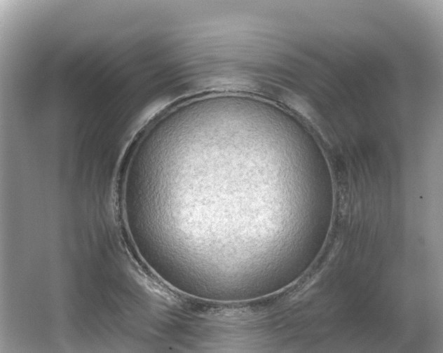 X0000065241074200602211206