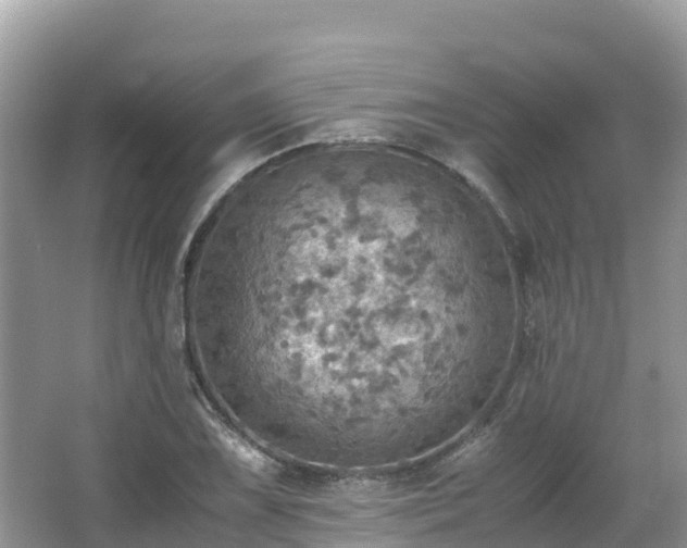 X0000065241075200602211206