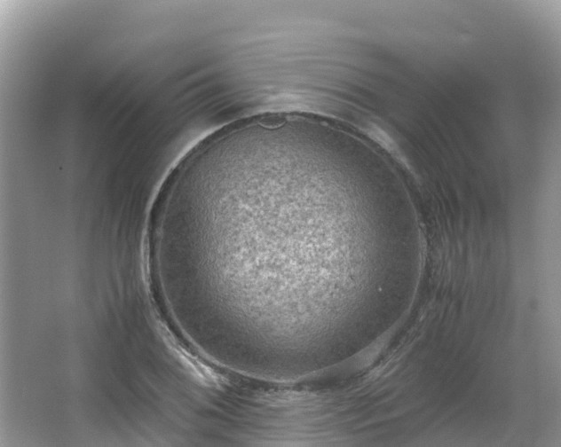 X0000065241076200602211206