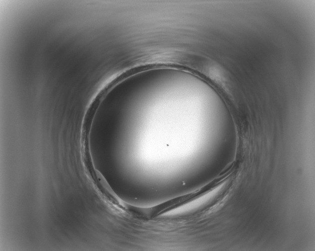 X0000065241077200602211206