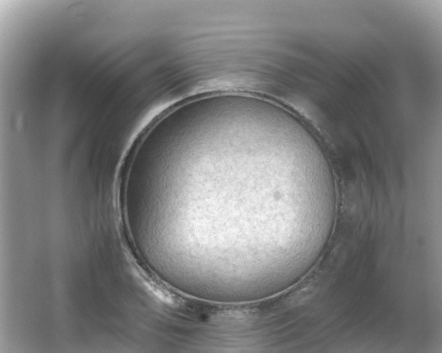 X0000065241078200602211206