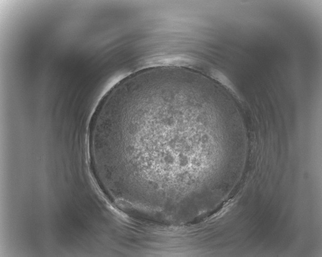 X0000065241079200602211206