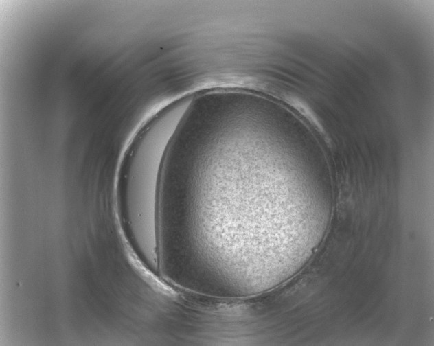 X0000065241080200602211206