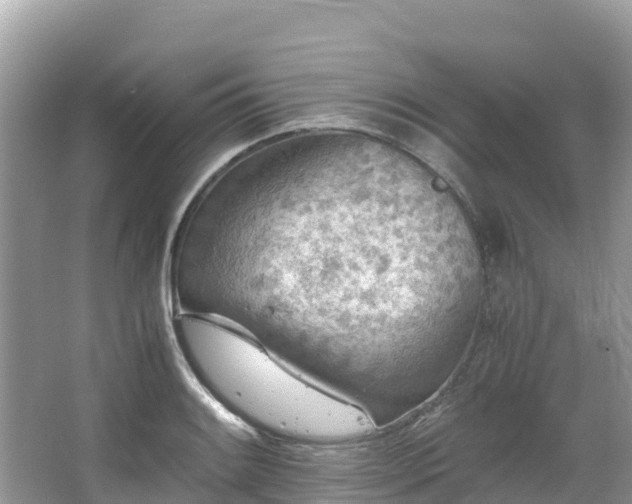 X0000065241084200602211206