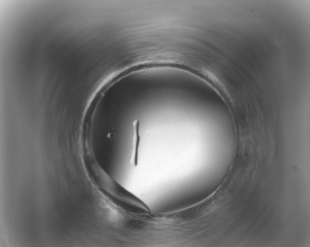 X0000065241085200602211206