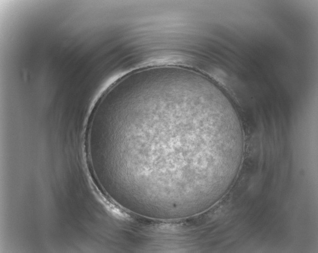 X0000065241086200602211206