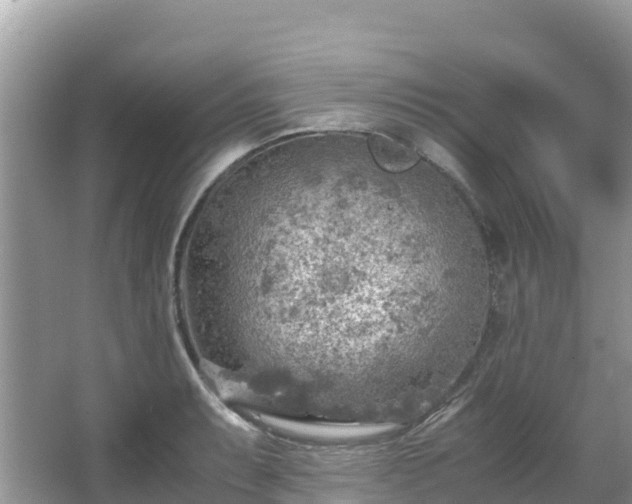 X0000065241087200602211206