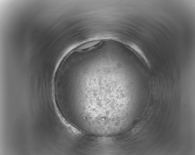 X0000065241088200602211206