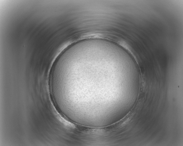 X0000065241090200602211206