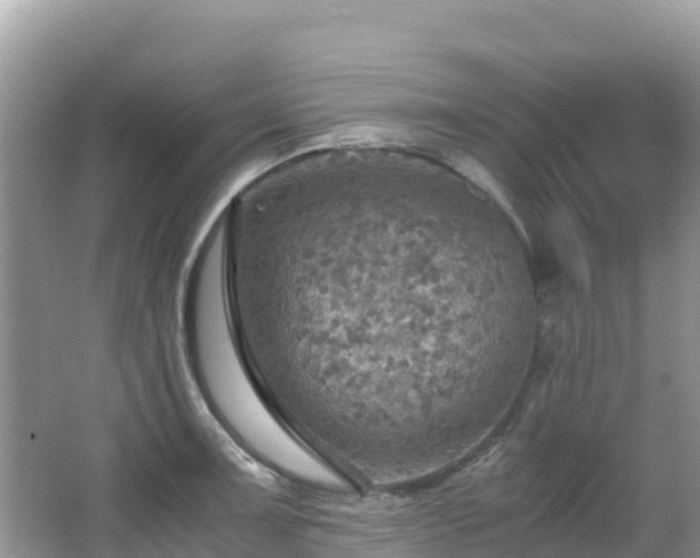 X0000065241091200602211206